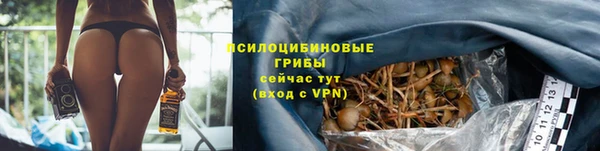 шишки Верхнеуральск