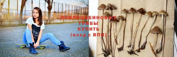 шишки Верхнеуральск