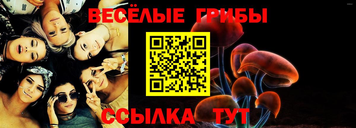 Славянск-на-Кубани  Галлюциногенные грибы MAGIC MUSHROOMS  Вход с VPN  Галлюциногенные грибы мухоморы 